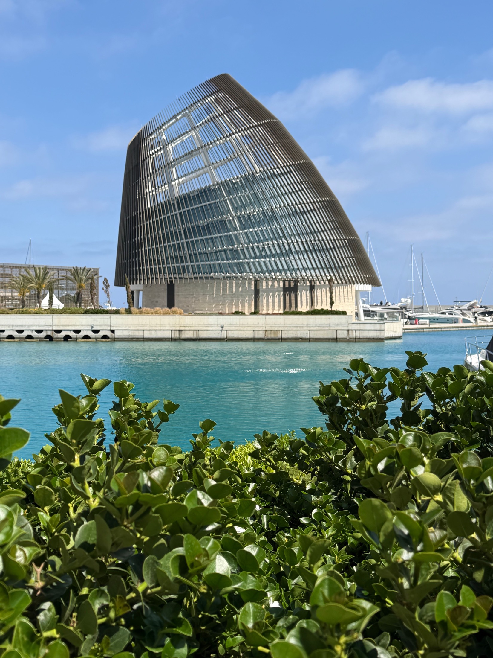 Edificio moderno de la marina de Ayia Napa junto al agua