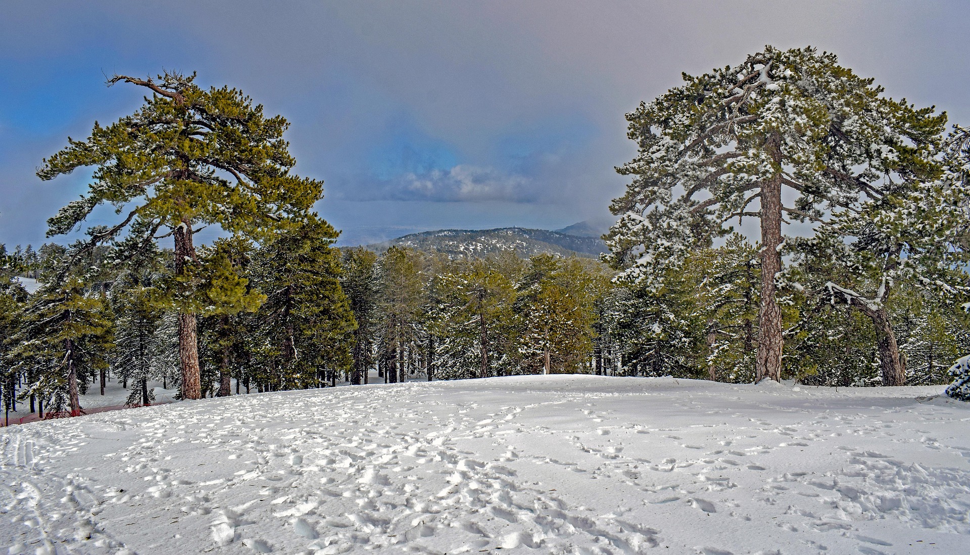 Paisaje de Chipre en invierno