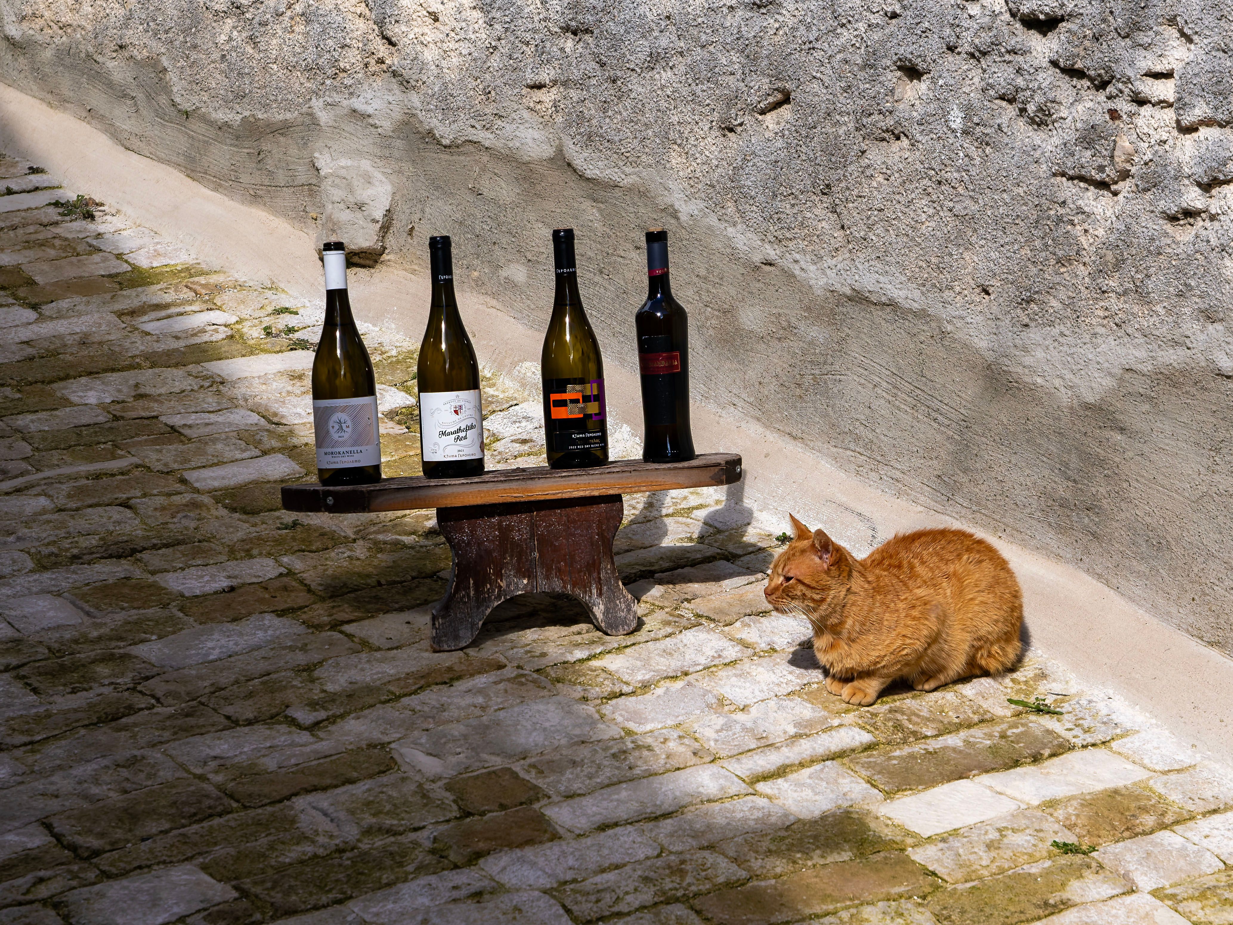 Pueblo de montaña vinculado a viñedos y vino local en Troodos